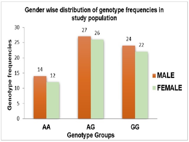Gender wise distribution of genotype frequencies in study population.