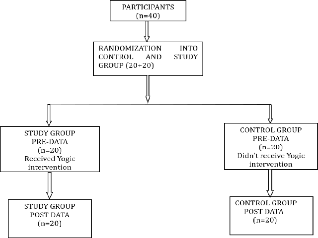 Schematic representation of randomization and data collection.